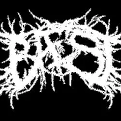 Bæst