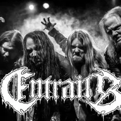 Entrails