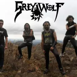 Grey Wolf