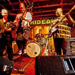 Lil' Ed And The Blues Imperials