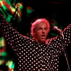 Robyn Hitchcock