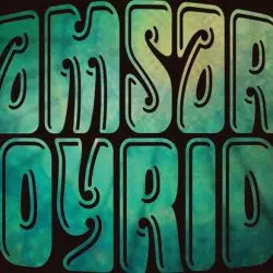 Samsara Joyride