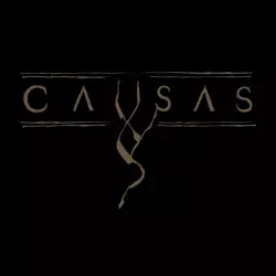 CAVSAS