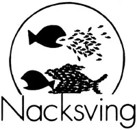Nacksving