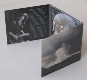 CD 沼泽乐队: Intoxicatingly Lost