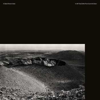 CD A Dead Forest Index: In All That Drifts From Summit Down