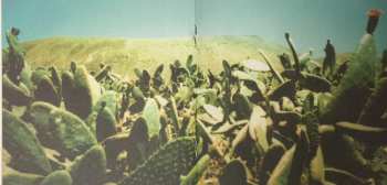 CD A Small, Good Thing: Slim Westerns Vol II