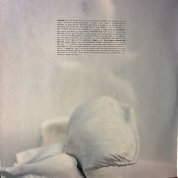 2LP A Swarm Of The Sun: The Rifts CLR | LTD