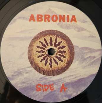 LP Abronia: Shapes Unravel