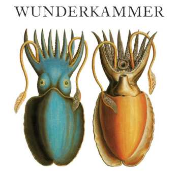 CD Acronym: Wunderkammer