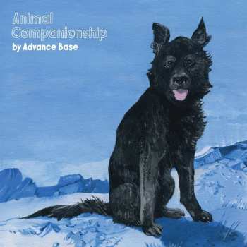 LP Advance Base: Animal Companionship CLR | LTD