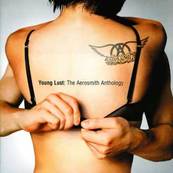 2CD Aerosmith: Young Lust: The Aerosmith Anthology