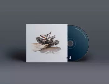 Aki Rissanen: Hyperreal