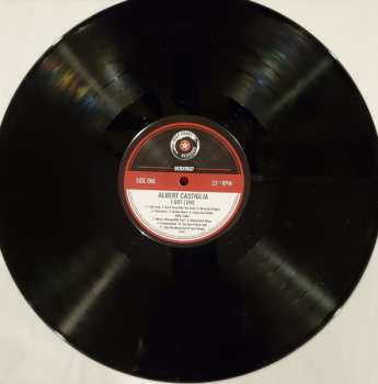 LP Albert Castiglia: I Got Love