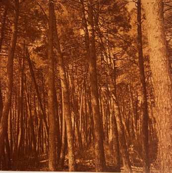 2LP Alberto Iglesias: The Room Next Door - A Film By Almodóvar (Original Soundtrack) CLR