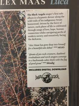 LP Alex Maas: Luca