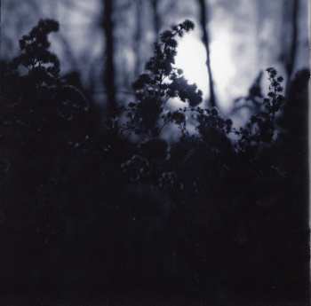 CD Alexander Paul Blake: Die Rückkehr Ins Goldene Zeitalter