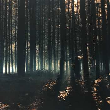 LP Alexis Grapsas: Pig (Original Motion Picture Soundtrack)