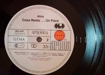 LP Alice: Cosa Resta....Un Fiore