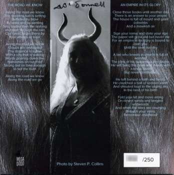 SP Alison O'Donnell: The Road We Know