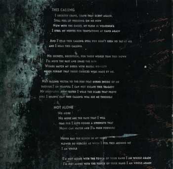 CD All That Remains: The Fall Of Ideals