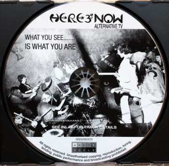 CD Alternative TV: What You See... Is What You Are
