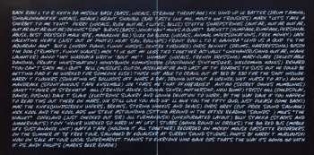 CD Alternative TV: What You See... Is What You Are