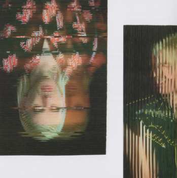 CD Franz Ferdinand: Always Ascending