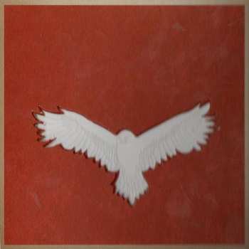 CD Amaral: Hacia Lo Salvaje