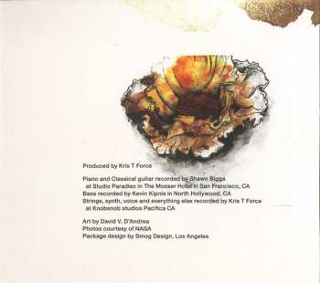 CD Amber Asylum: Bitter River