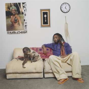 LP Aminé: 13 Months Of Sunshine CLR