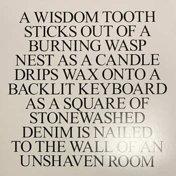 3LP/Box Set Amnesia Scanner: Hoax + Strobe.Rip