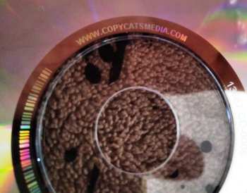 2CD Amusement Parks On Fire: Road Eyes (Deluxe) DLX