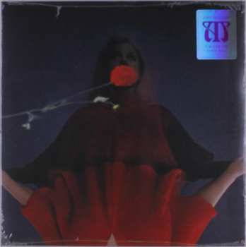 Album Amy Millan: I Went To Find You