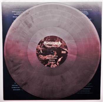 LP Anachronism: Meanders CLR | LTD