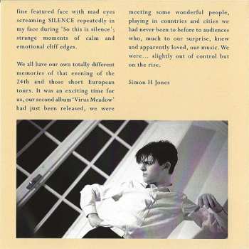 CD And Also The Trees: The Evening Of The 24th