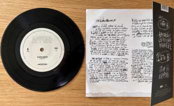 SP Andrea Appino: Le Vecchie Maniere