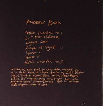 CD Andrew Bird: I Want To See Pulaski At Night