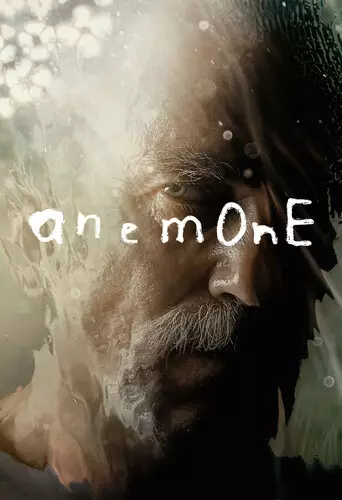 Anemone