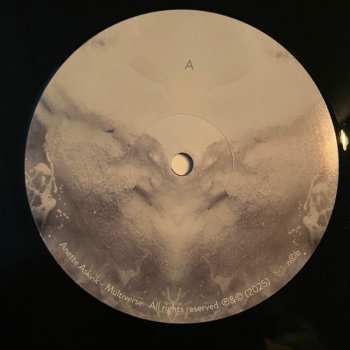 2LP Anette Askvik: Multiverse