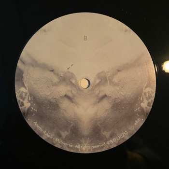 2LP Anette Askvik: Multiverse