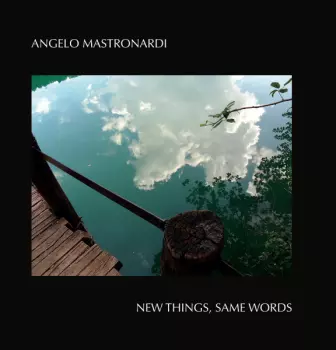 Angelo Mastronardi: New Things, Same Words