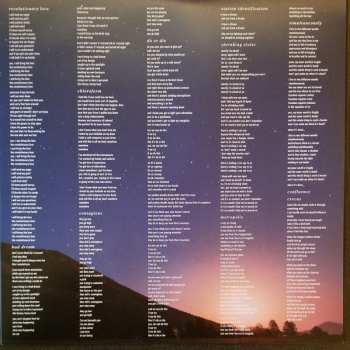 2LP Ani DiFranco: Revolutionary Love