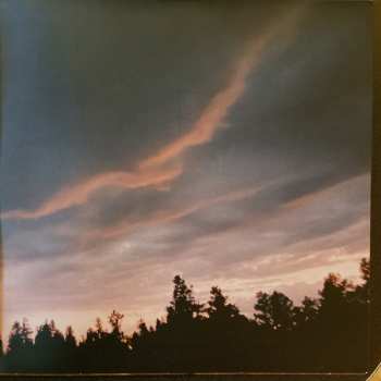 2LP Ani DiFranco: Revolutionary Love