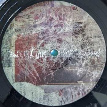 LP Animal Collective: Bridge To Quiet LTD