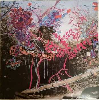 Album Animal Collective: Here Comes The Indian