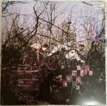 LP Animal Collective: Here Comes The Indian