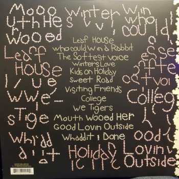 2LP Animal Collective: Sung Tongs