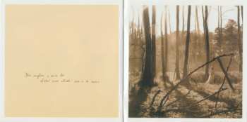 CD Anna Maria Jopek: Bosa