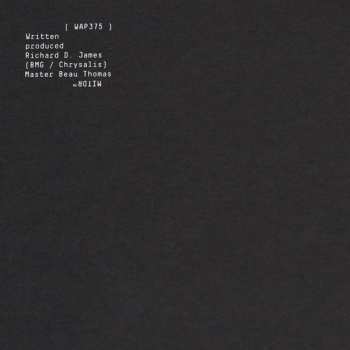 LP Aphex Twin: Computer Controlled Acoustic Instruments Pt2 (EP)